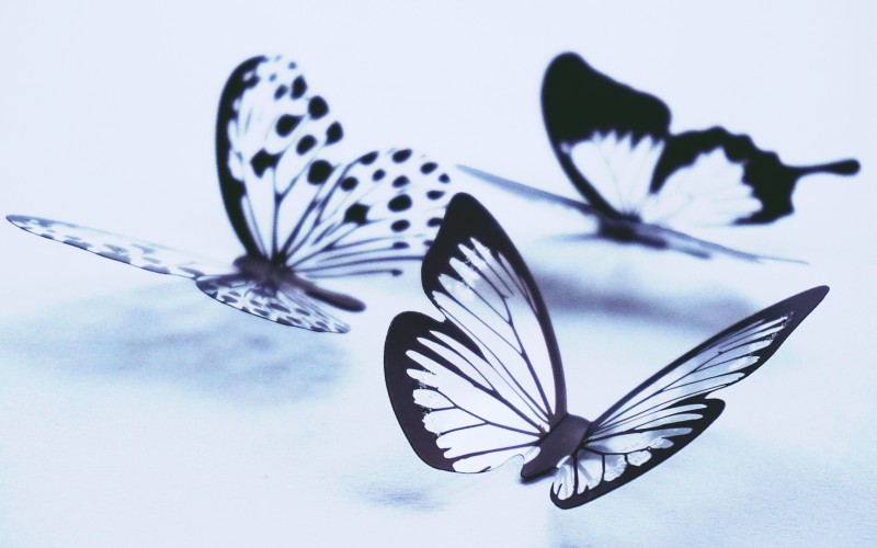 Эффект бабочки | Детские травмы